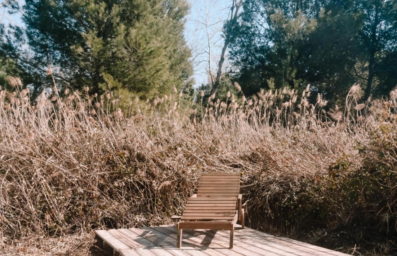 קסטלדפלס Cooltainer Retreat: Sustainable Coastal Forest Tiny House Near Barcelona מראה חיצוני תמונה